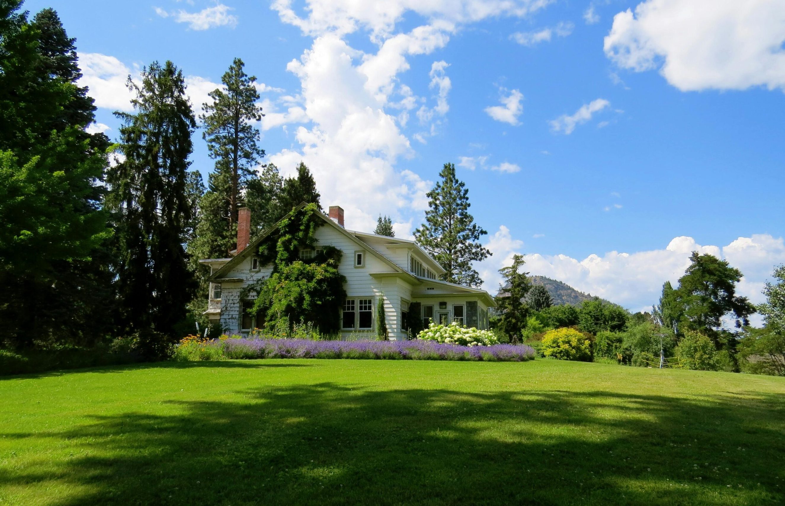 pexels-photo-226407-226407 Idyllic countryside house surrounded by lavender and greenery under a bright blue sky.